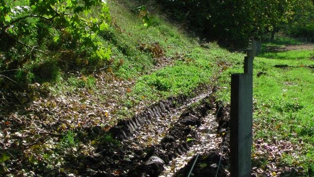 Tyre tracks in the mud. Cambridge Tree Trust